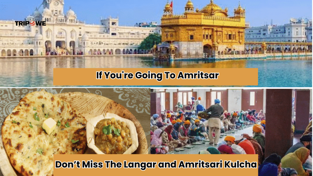famous dishes in india-Tripowe.com