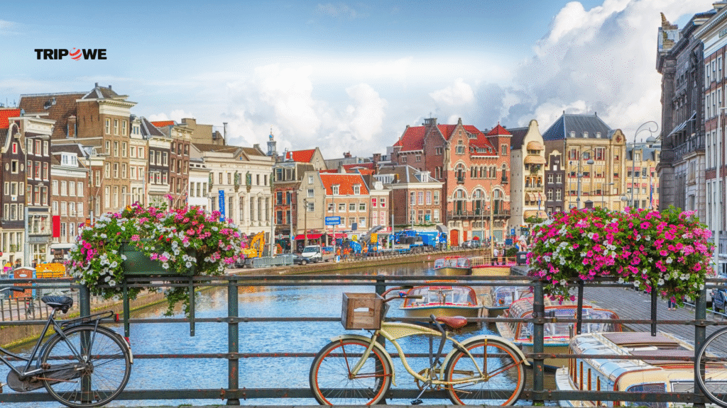 Best Places to visit in netherlands -Tripowe.com