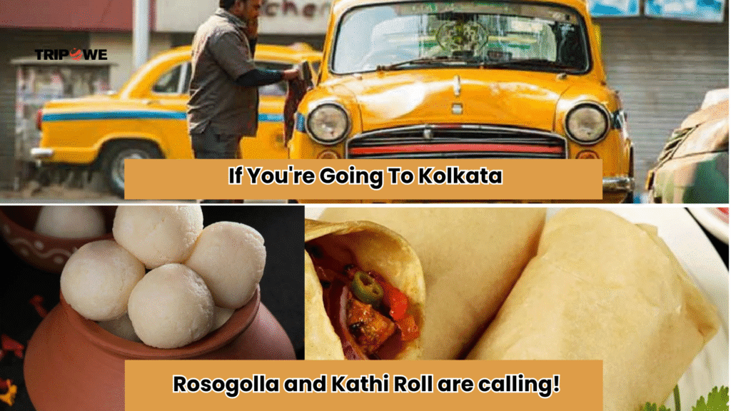 famous dishes in india-Tripowe.com