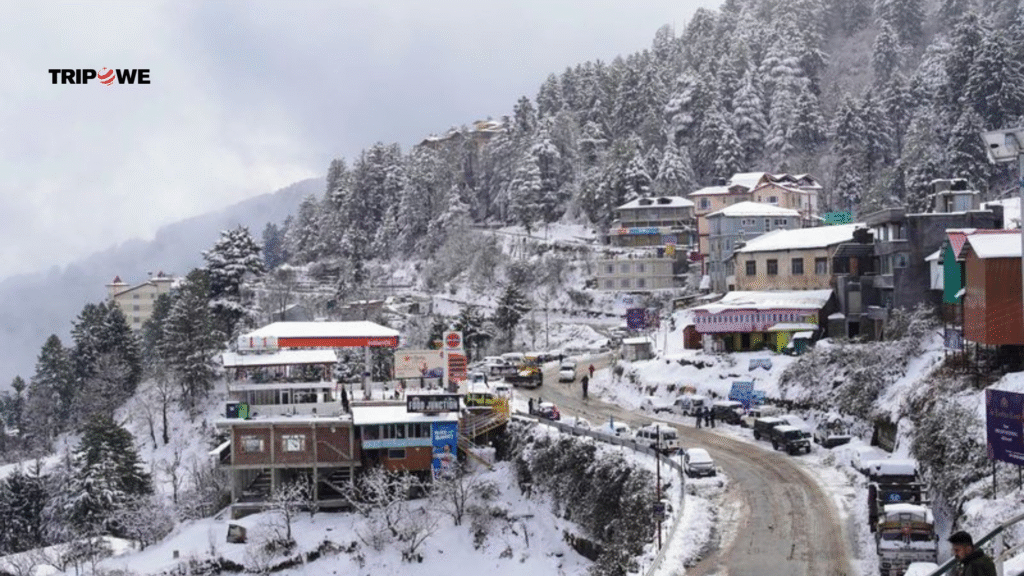 Best Places To Visit in Shimla-Tripowe.com