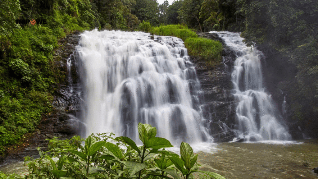 Places to visit in Coorg-Tripowe.com