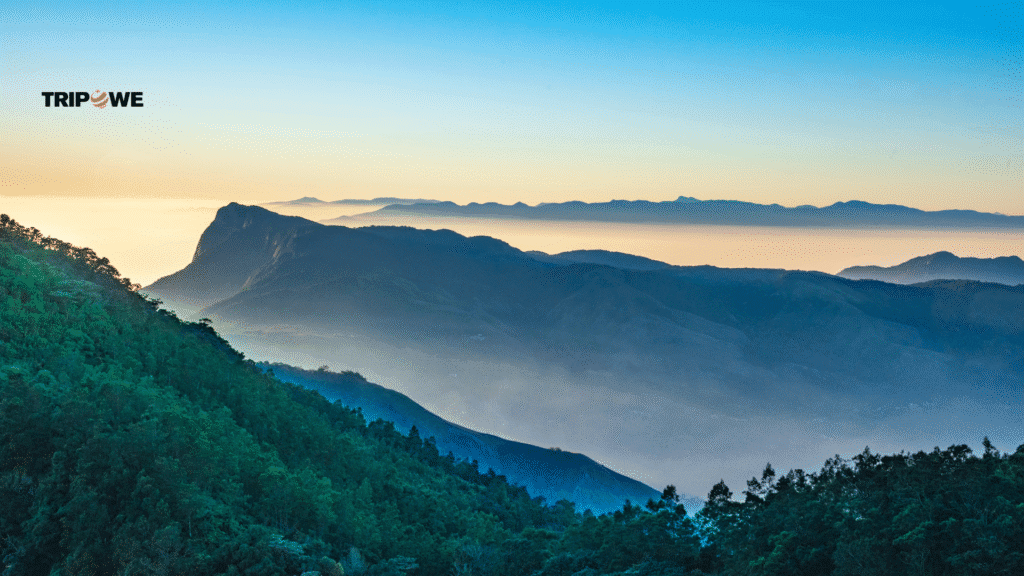 Top Attraction in kerala in monsoon season-Tripowe.com