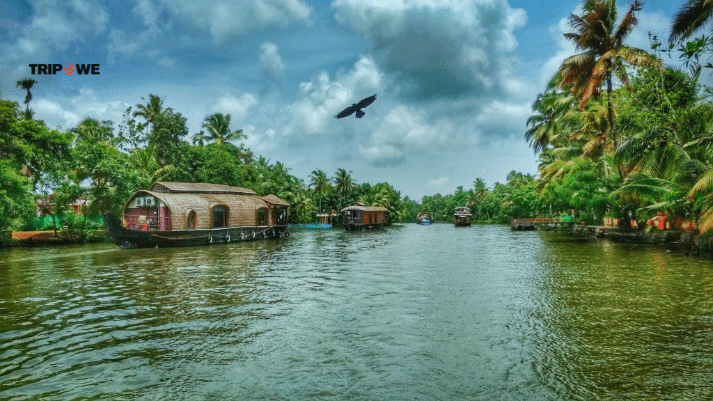 Top Attraction in kerala in monsoon season-Tripowe.com