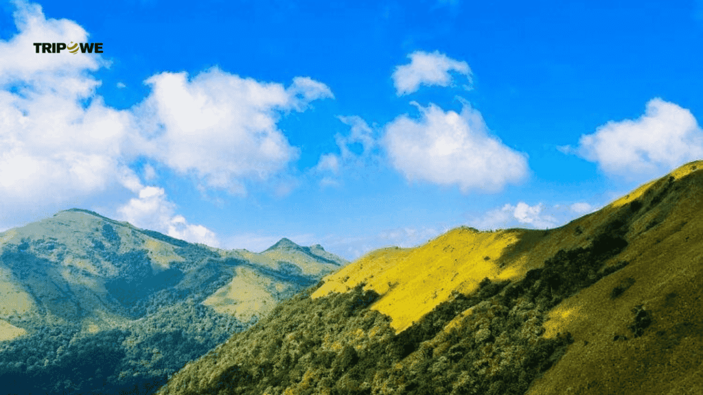 Places to visit in Coorg-Tripowe.com