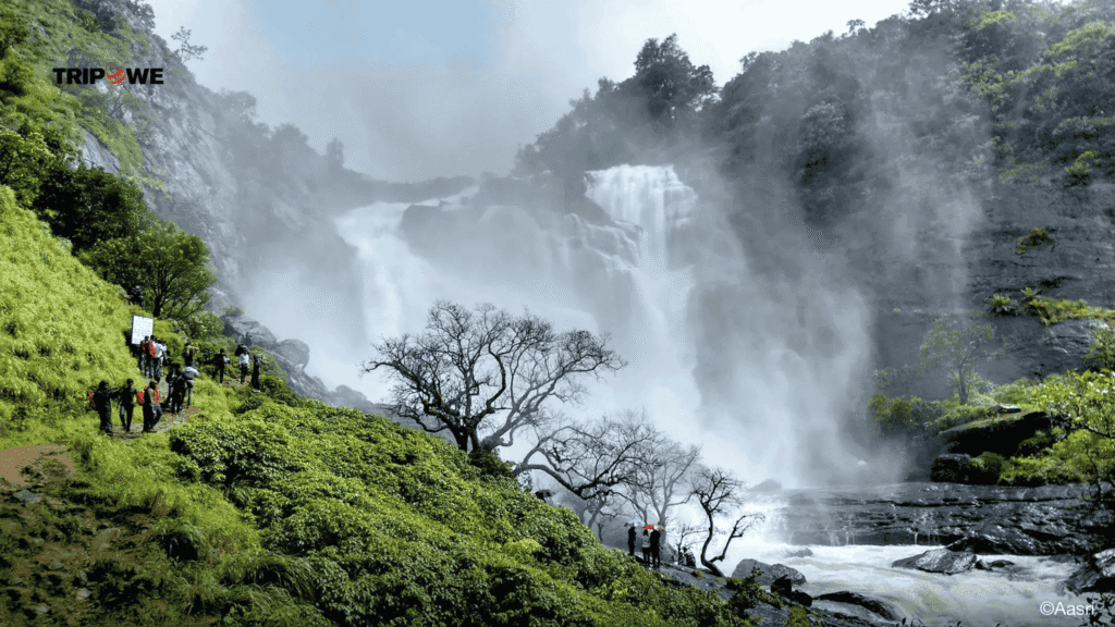 Places to visit in Coorg-Tripowe.com