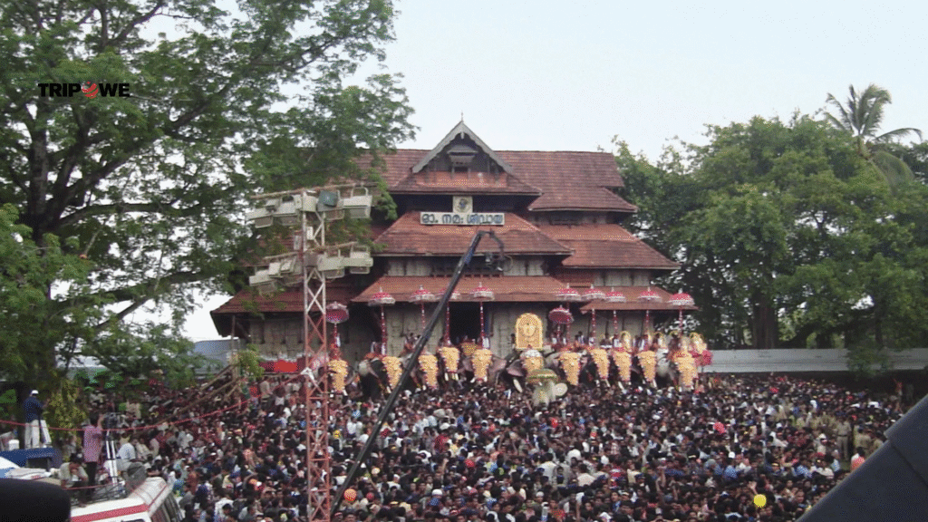 Top Attraction in kerala in monsoon season-Tripowe.com