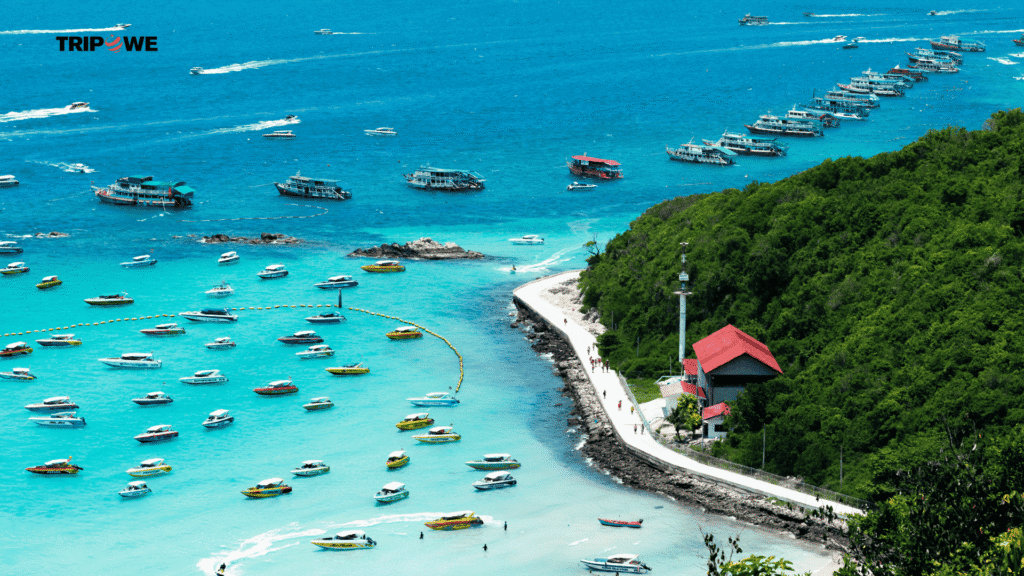 International Trips Under 50,000 -Tripowe.com