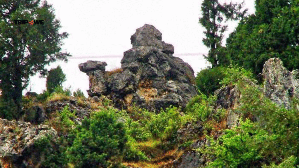 tourist places in Mussoorie-Tripowe.com