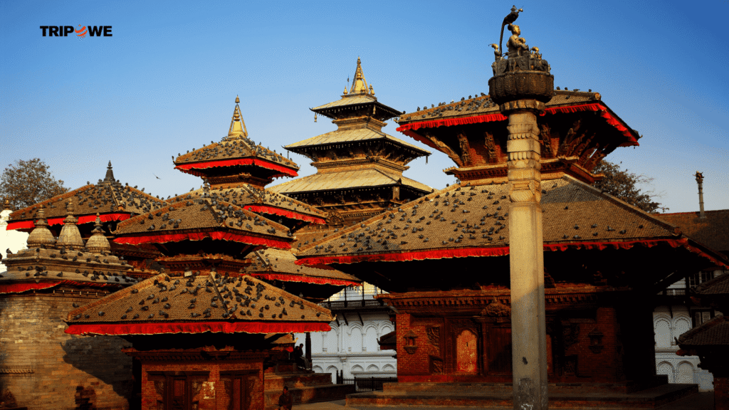 International Trips Under 50,000 -Tripowe.com