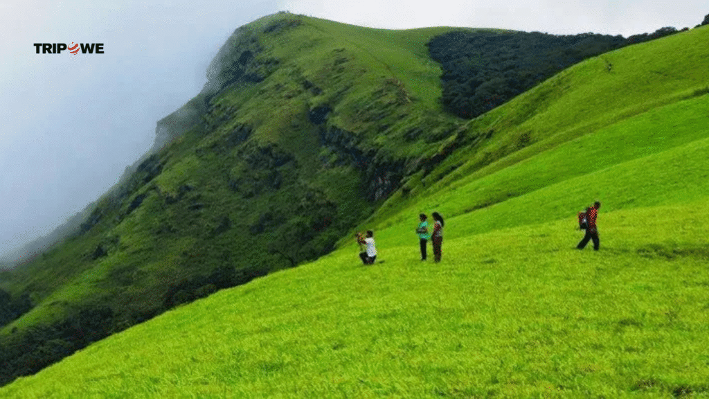 Places to visit in Coorg-Tripowe.com