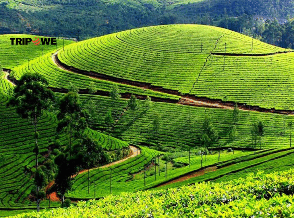 Avoid these places in monsoon India