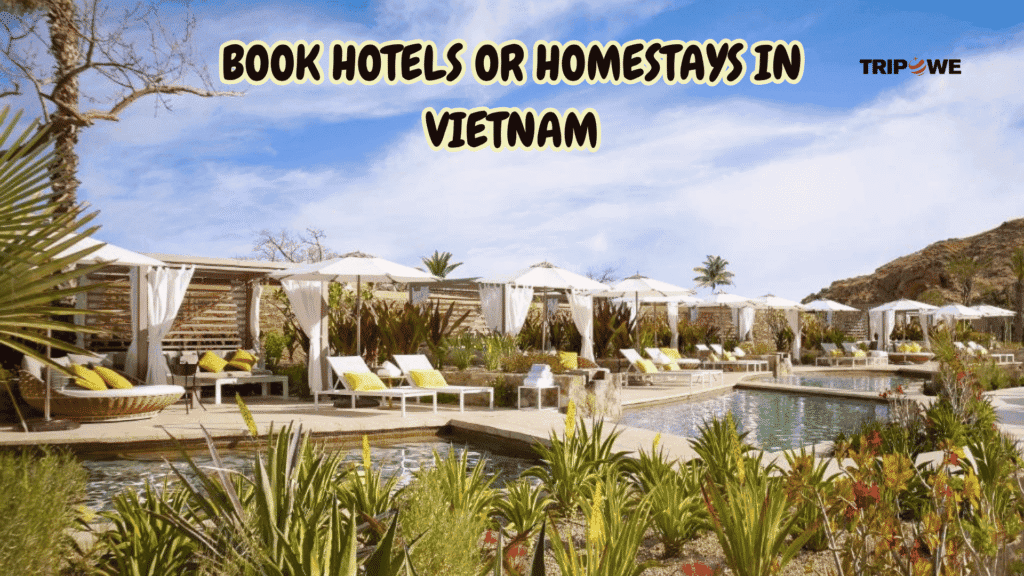 Vietnam Trip from India-Tripowe.com