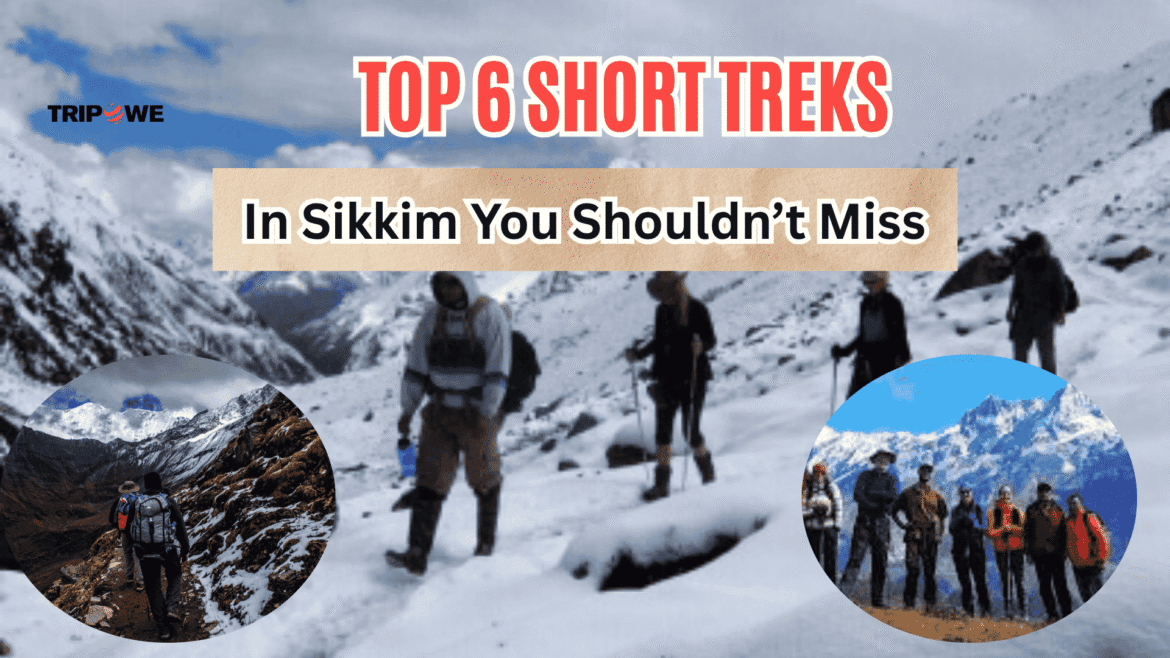 Trek in sikkim-Tripowe.com