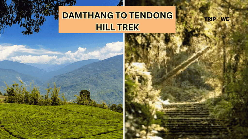 Trek in sikkim-Tripowe.com