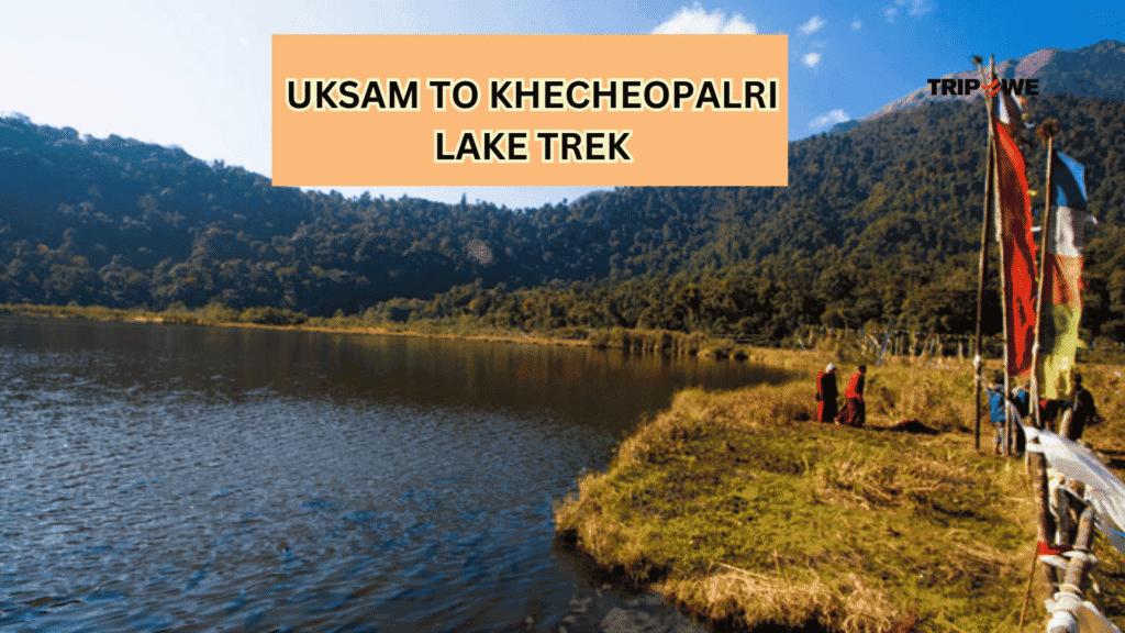 Trek in sikkim-Tripowe.com