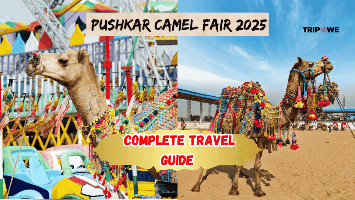 Pushkar Camel Fair 2025-Tripowe.com
