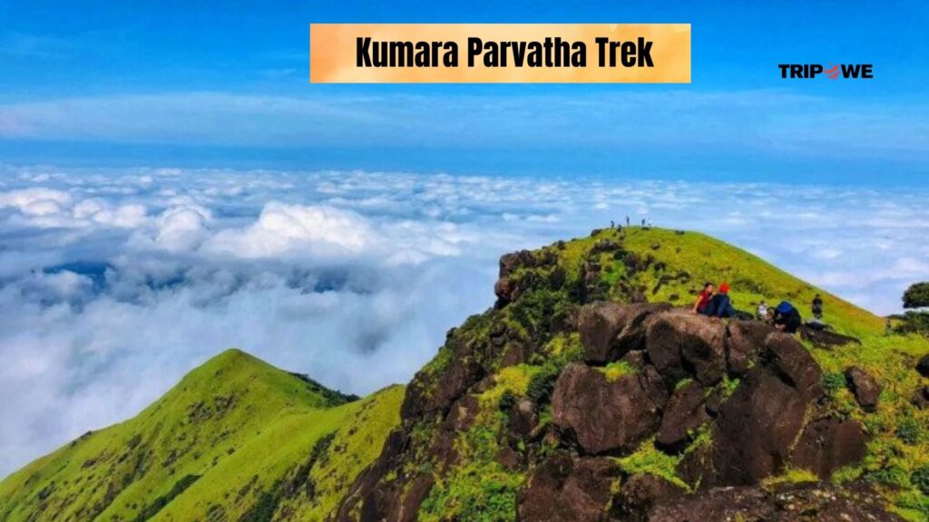 Trekking in the western ghats-Tripowe.com