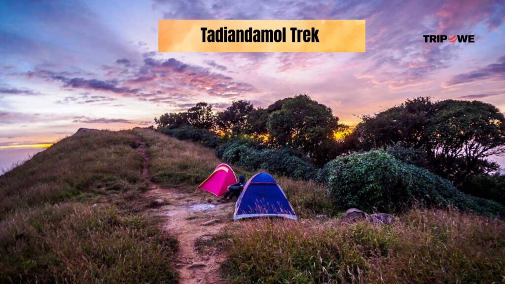 Trekking in the western ghats-Tripowe.com