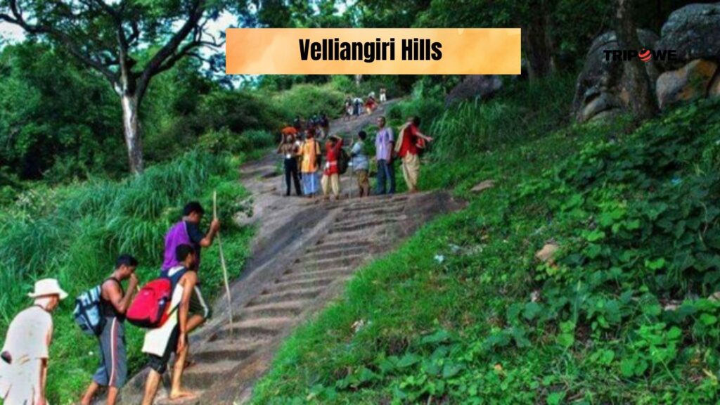 Trekking in the western ghats-Tripowe.com