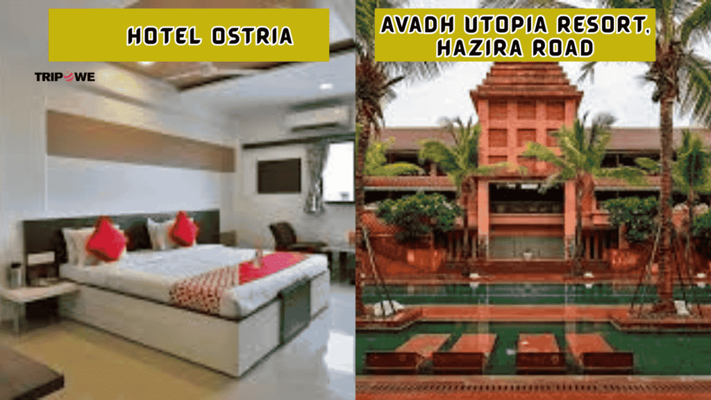 Best Hotels and Resorts in Surat-Tripowe.com