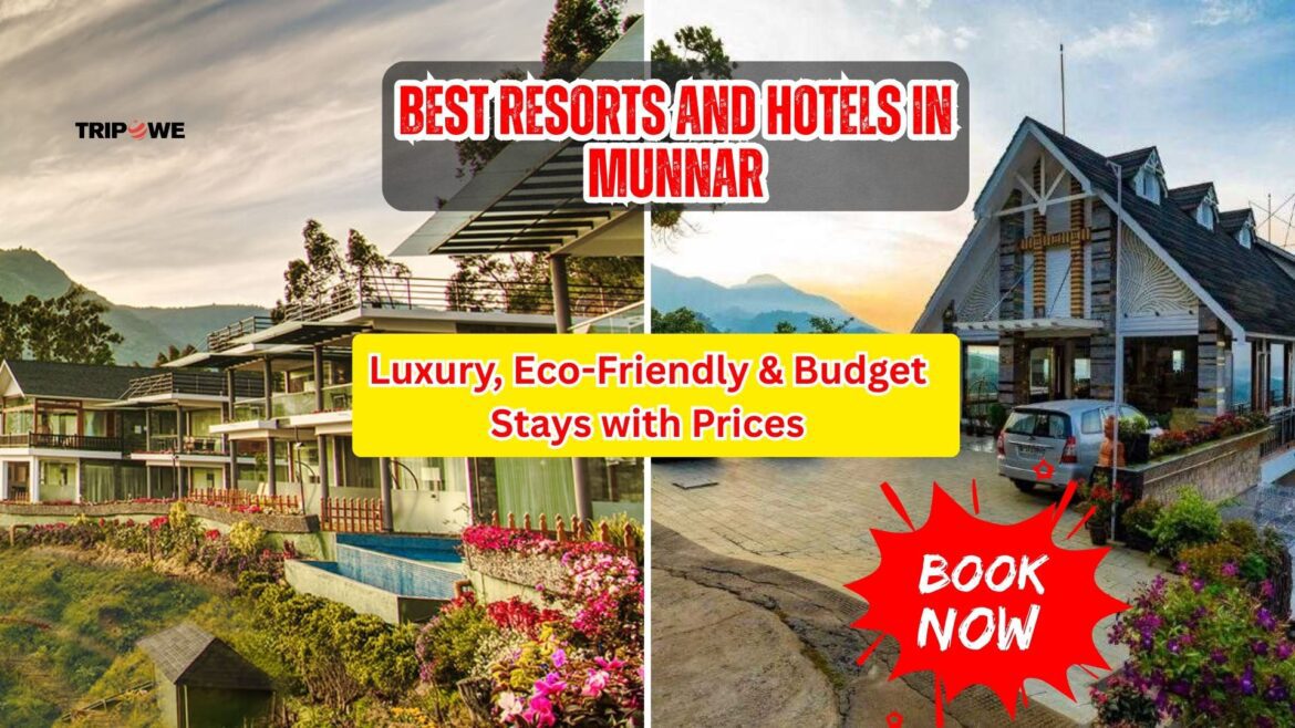 Best Resorts and Hotels in Munnar-Tripowe.com