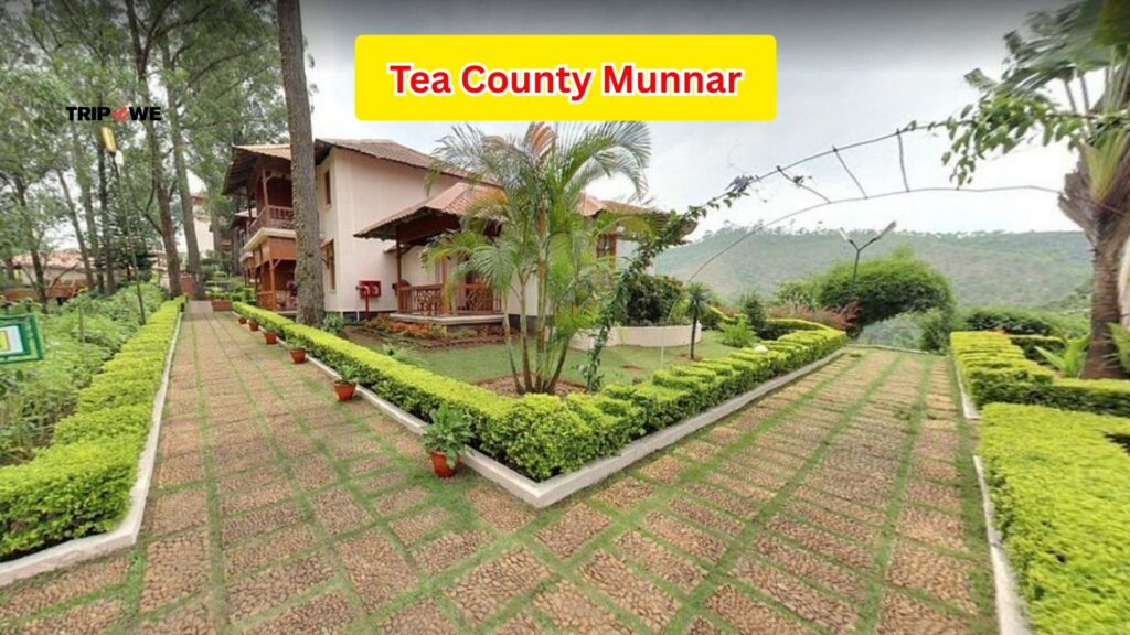 Best Resorts and Hotels in Munnar-Tripowe.com