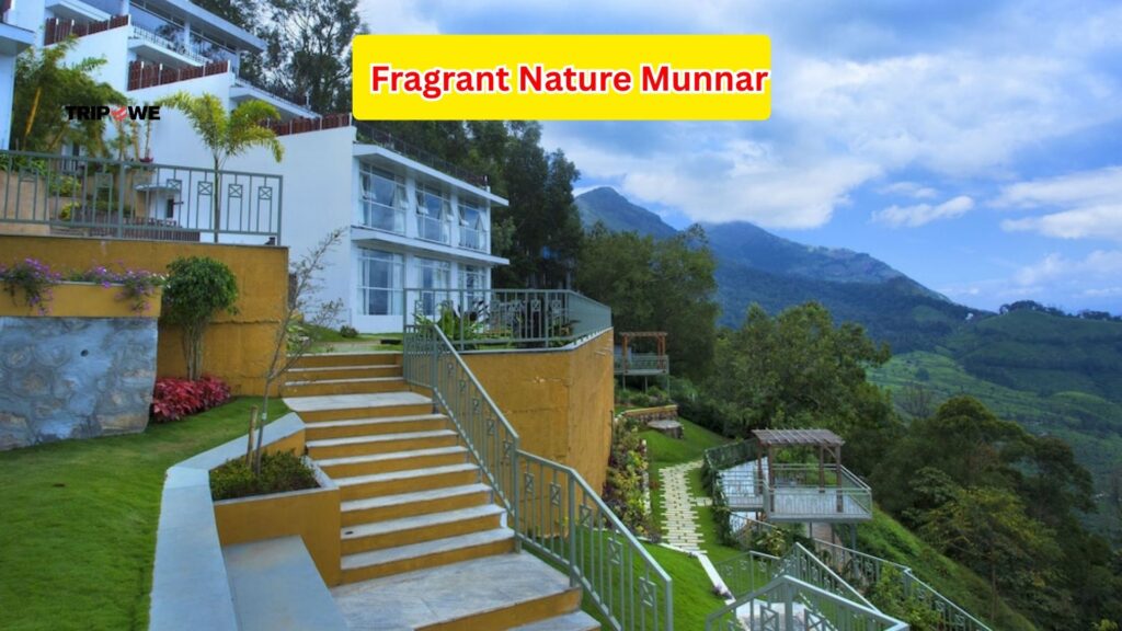 Best Resorts and Hotels in Munnar-Tripowe.com