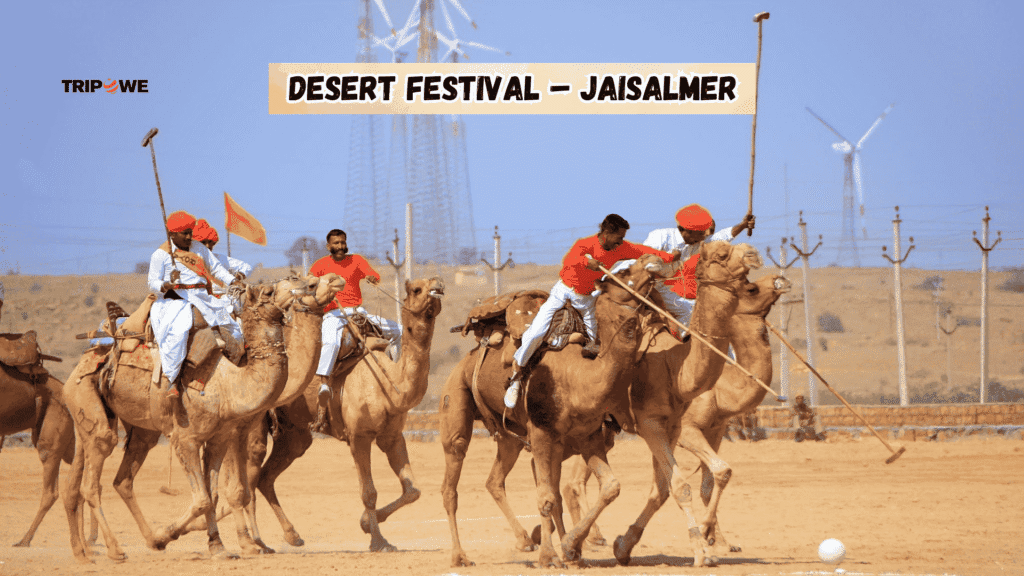 Cultural Festivals of India to Attend This Winter Season -Tripowe.com