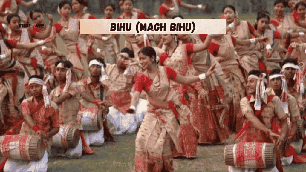 Cultural Festivals of India to Attend This Winter Season -Tripowe.com