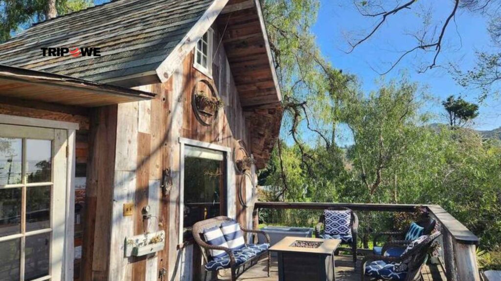 Top 5 Airbnbs to Book in Los Angeles -Tripowe.com