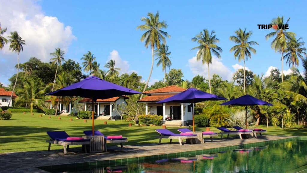 New Hotels in Sri Lanka-Tripowe.com