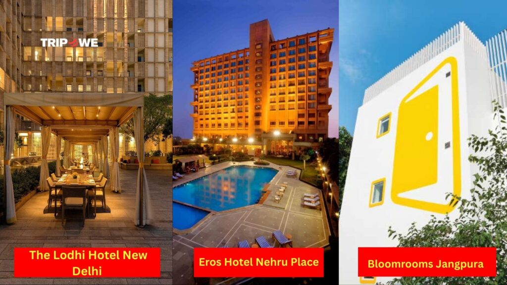 Akon India Tour 2025-Tripowe.com