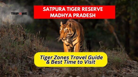 Satpura Tiger Reserve Madhya Pradesh-Tripowe.com