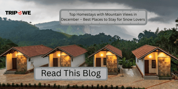 Top Mountain-View Homestays in December Tripowe.com