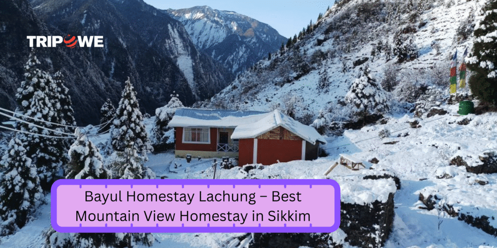 Top Mountain-View Homestays in December Tripowe.com