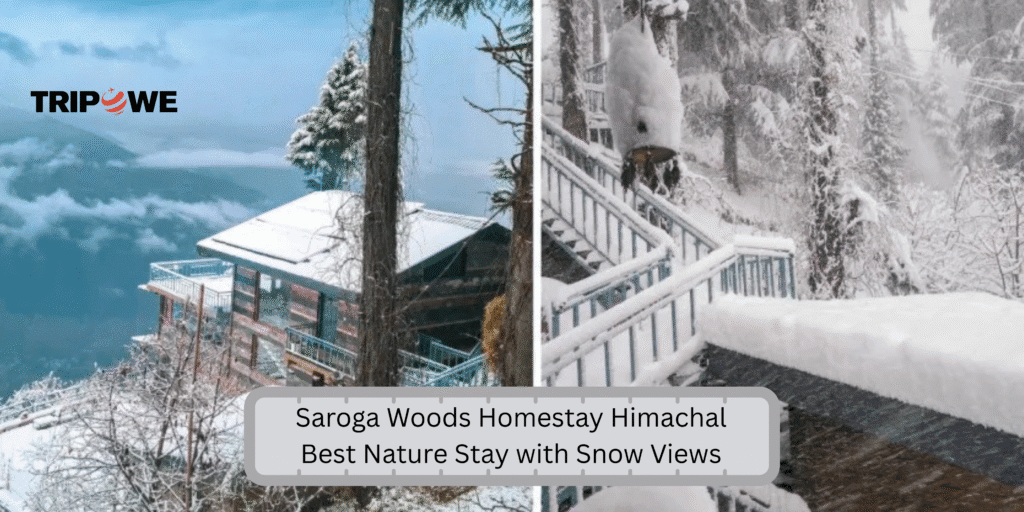 Top Mountain-View Homestays in December Tripowe.com