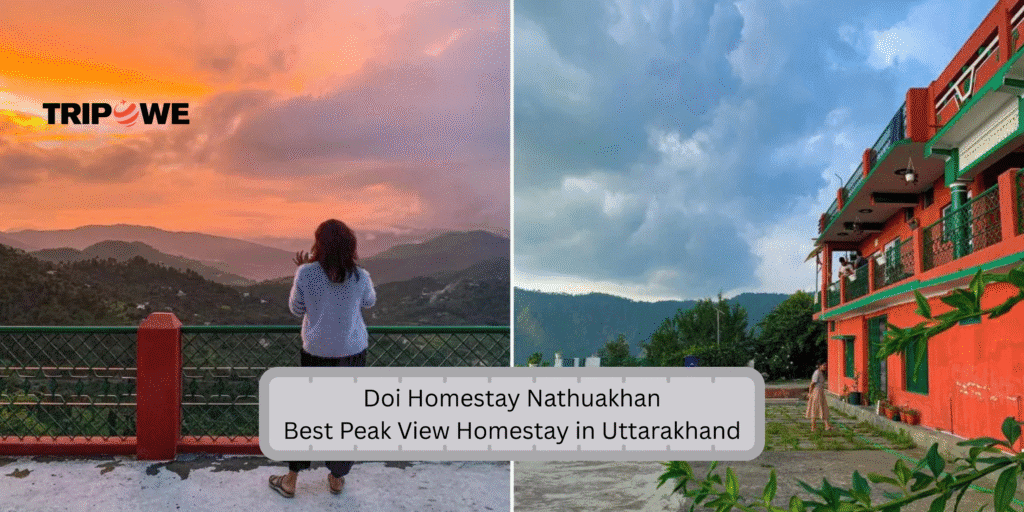 Top Mountain-View Homestays in December tripowe.com