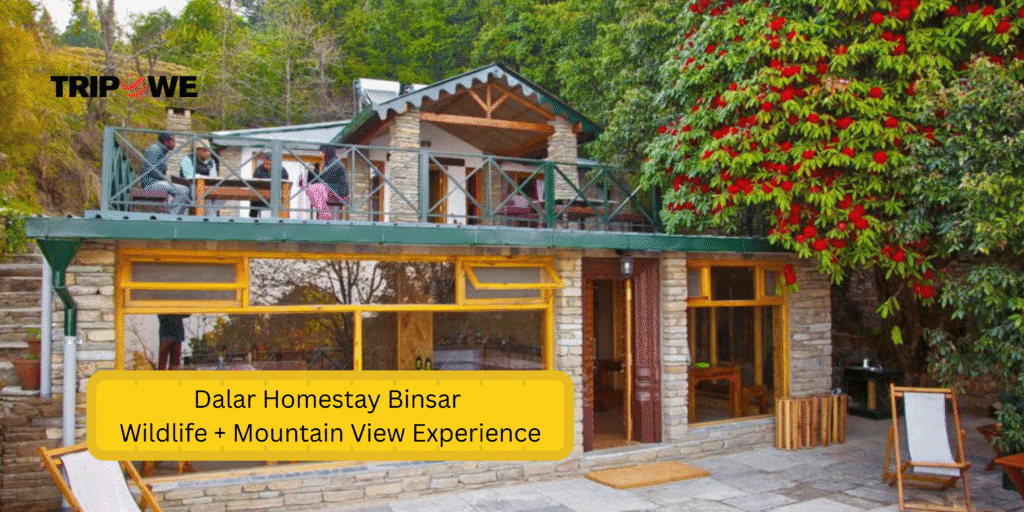 Top Mountain-View Homestays in December tripowe.com