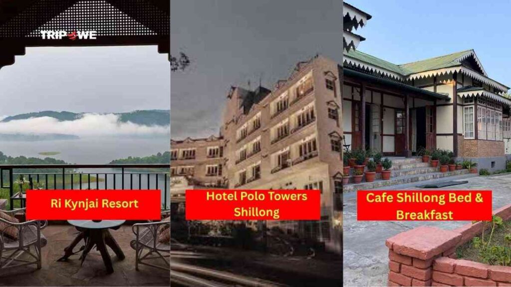 Best Christmas and New Year Destinations in India 2025-Tripowe.com