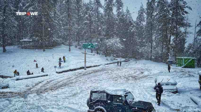 Best Christmas and New Year Destinations in India 2025-Tripowe.com