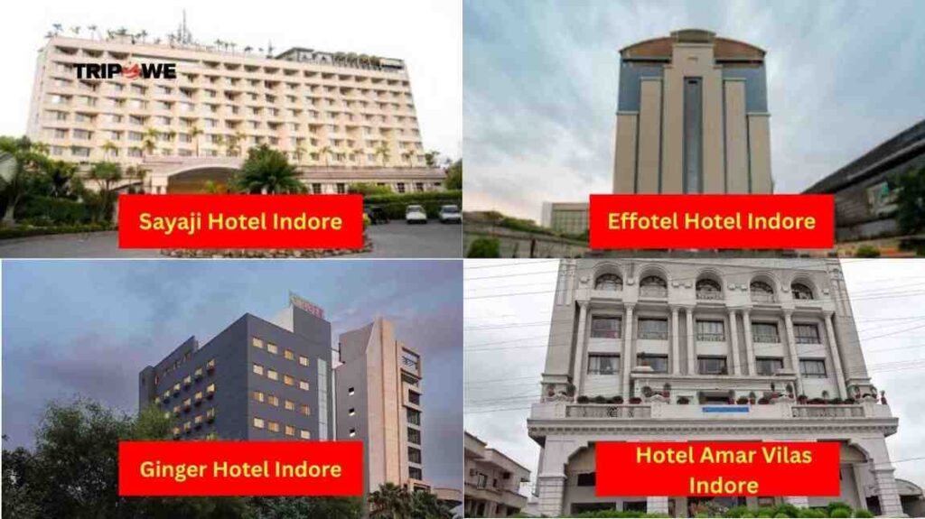 Half Baked by Varun Pujari Indore-Tripowe.com