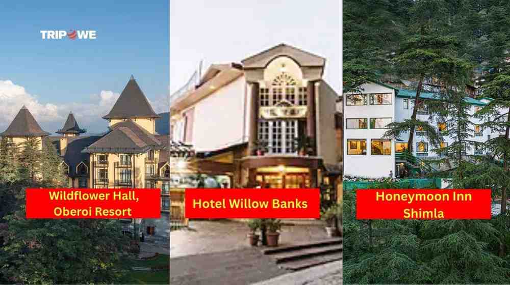 Best Christmas and New Year Destinations in India 2025-Tripowe.com