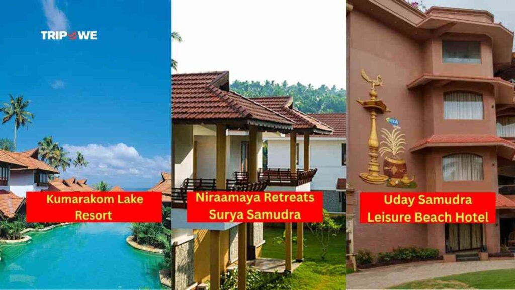 Best Christmas and New Year Destinations in India 2025-Tripowe.com